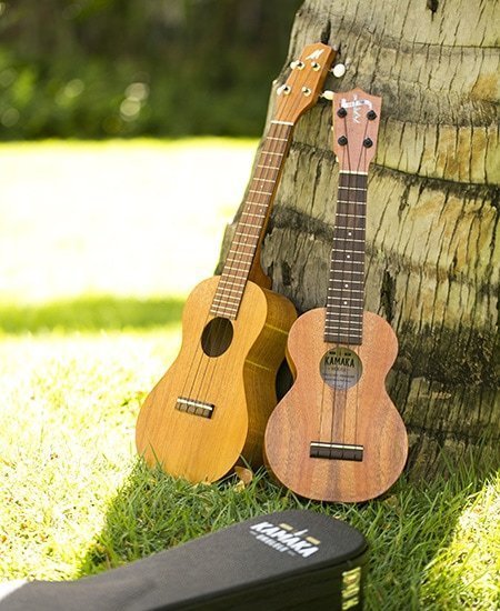 Ukulele Puapua