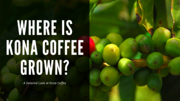 where is kona coffee grown header - up-close photo of kona coffee beans, with one red cherry