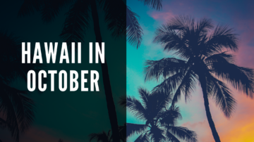 Hawaii in November, header