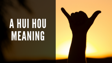 a hui hou meaning - header image, shaka hand sign silhouette