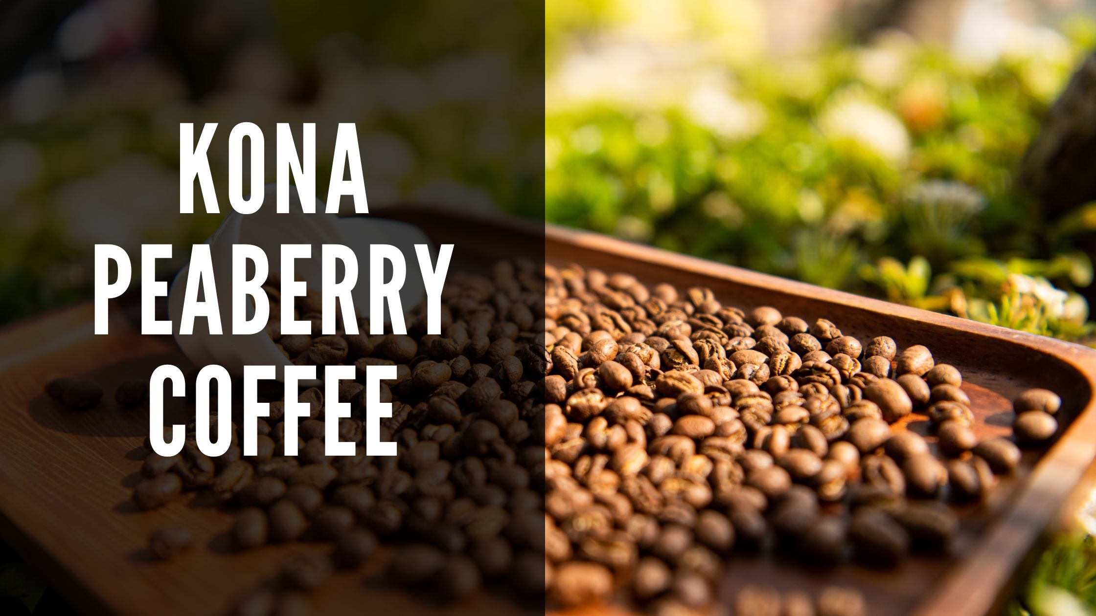 Hawaiian kona peaberry coffee
